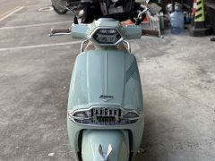 Weiduoliya Sixties 150Si - ფოტო 4