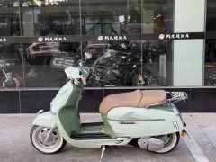 Weiduoliya Sixties 150Si - ფოტო 7