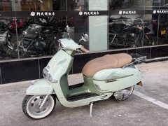 Weiduoliya Sixties 150Si - ფოტო 8
