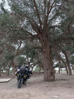 BMW R 1250 GS - ფოტო 2