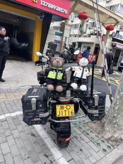 BMW R 1250 GS - ფოტო 7