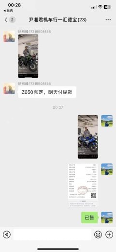 Haojue Suzuki GSX250R - фото 3