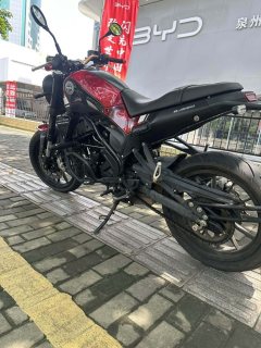 Benelli Leoncino 250 - ფოტო 6
