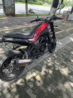Benelli Leoncino 250 - ფოტო 7