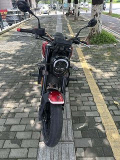 Benelli Leoncino 250 - ფოტო 8