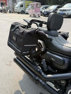 QJMOTOR Shan 600 550 cc - ფოტო 9