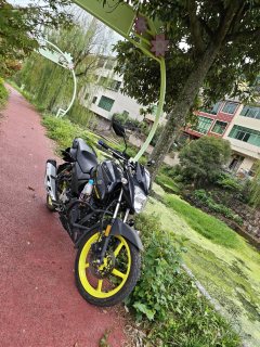 Jianshe Yamaha Feizhi YS150 - ფოტო 1