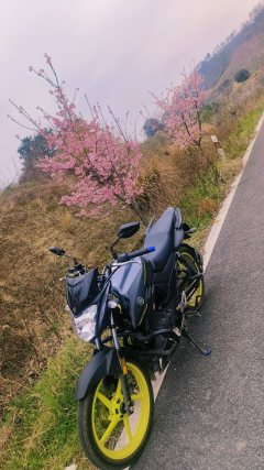 Jianshe Yamaha Feizhi YS150 - ფოტო 3