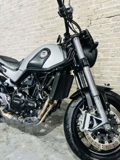 Benelli Lion Cub Leoncino 500 - ფოტო 6