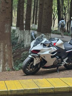 QJMOTOR Roewe i5 550 / Sai 550 *(Context-dependent, usually referring to the motorcycle "Sai 550" or Roewe car v - photo 1