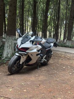 QJMOTOR Roewe i5 550 / Sai 550 *(Context-dependent, usually referring to the motorcycle "Sai 550" or Roewe car v - photo 2