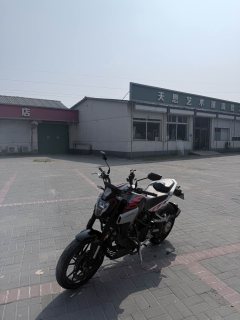 Kayo Cobra 321R 320 cc - ფოტო 4