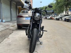 Benelli Lion Cub Leoncino 500 - photo 2