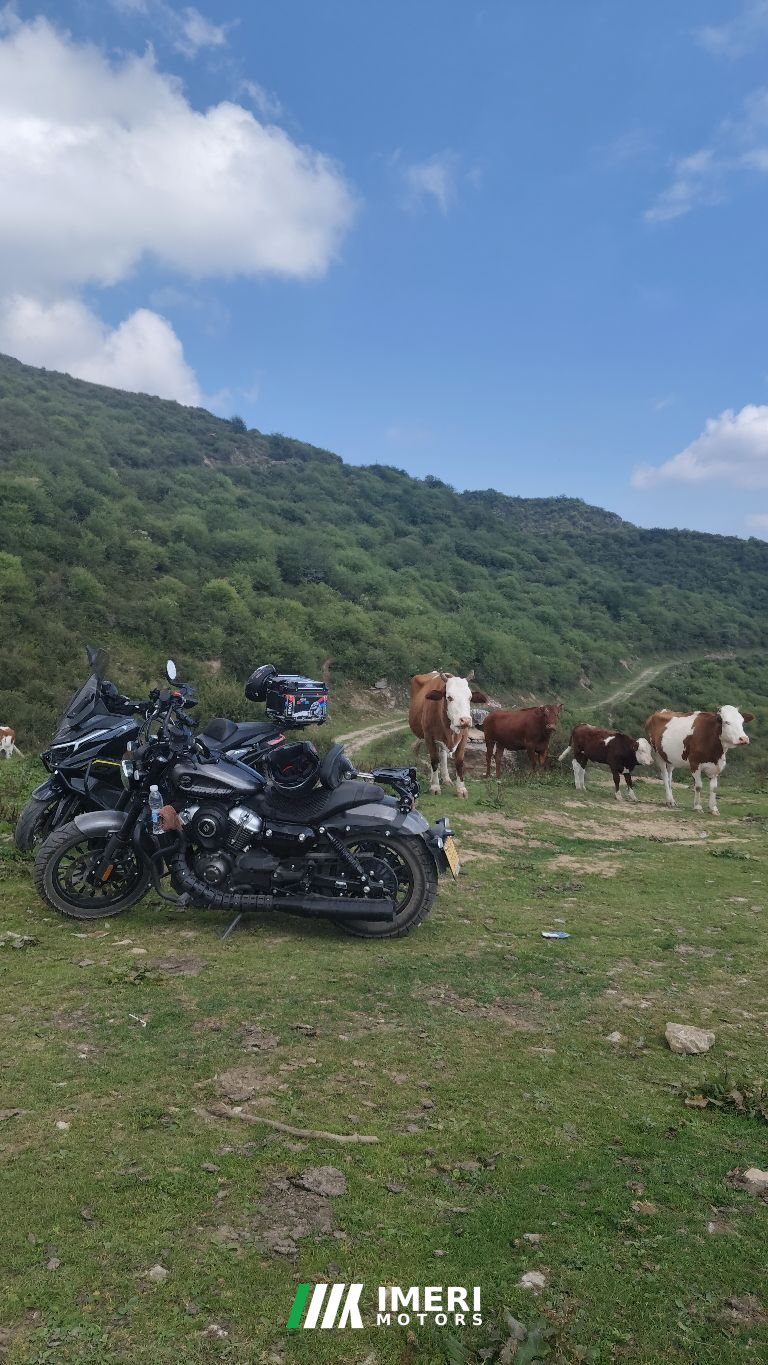 Benda Chinchilla 250 - motorcycle from China