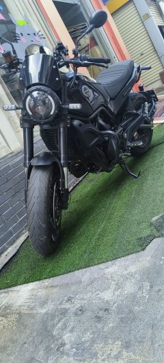 Benelli Lion Cub Leoncino 500 - photo 1