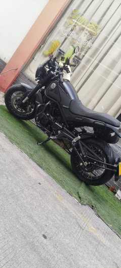 Benelli Lion Cub Leoncino 500 - photo 3