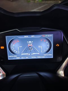 Ariic 318GT 350 cc - ფოტო 2