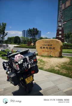 Haojue Suzuki DL250 - ფოტო 4