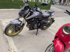 QJMOTOR Chase 350 - ფოტო 2