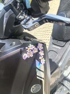 Yamaha NMAX 155 cc - ფოტო 2