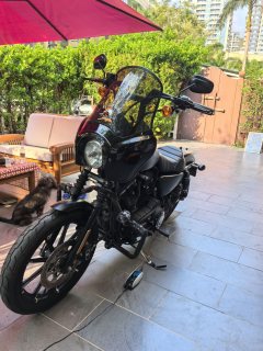 Harley-Davidson Iron883 Tough Guy - ფოტო 10