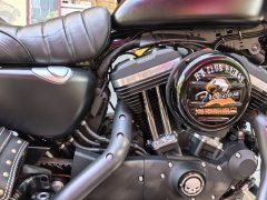 Harley-Davidson Iron883 Tough Guy - ფოტო 8