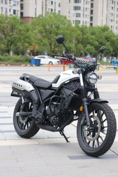 Honda CL300 - ფოტო 7