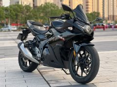 Haojue Suzuki GSX250R - ფოტო 2