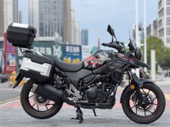Haojue Suzuki DL250 - ფოტო 5