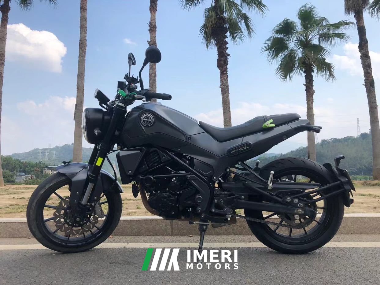 2019 Benelli Leoncino 250