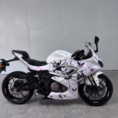 QJMOTOR SRK 250 - ფოტო 1