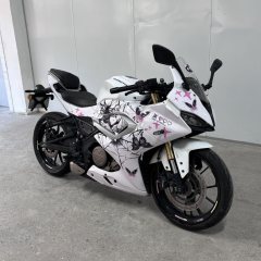 QJMOTOR SRK 250 - ფოტო 2