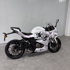 QJMOTOR SRK 250 - ფოტო 3
