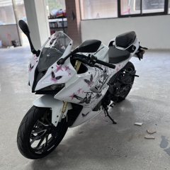 QJMOTOR SRK 250 - ფოტო 4