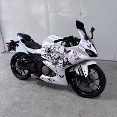 QJMOTOR SRK 250 - ფოტო 5