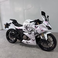 QJMOTOR SRK 250 - ფოტო 7