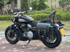 Benda Challenger 300 - ფოტო 5