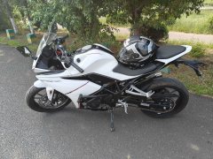 Kayo 250RR Thornbird - photo 3
