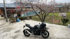 Haojue Suzuki GSX250R - ფოტო 1