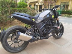 Benelli Leoncino 250 - ფოტო 4