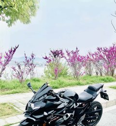 Haojue Suzuki GSX250R - ფოტო 3