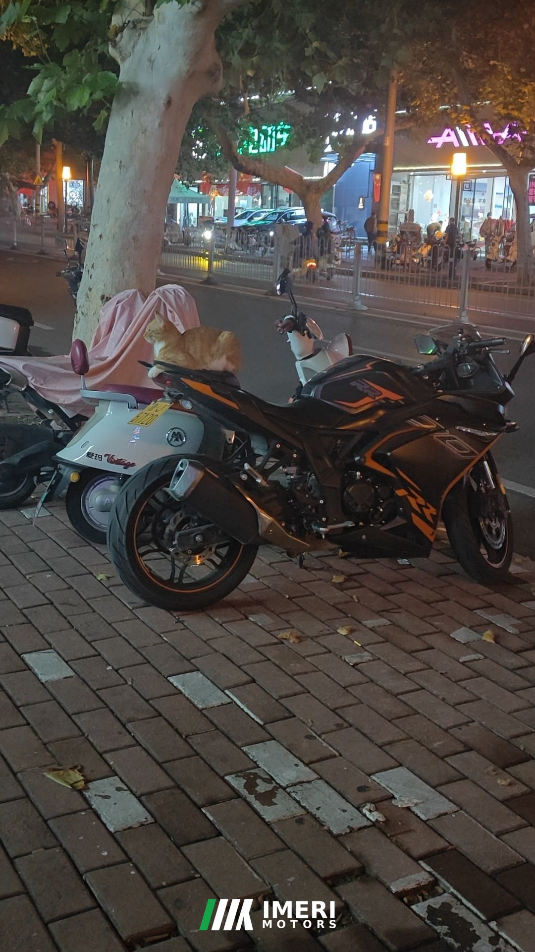 Voge 300RR - მოტოციკლი ჩინეთიდან