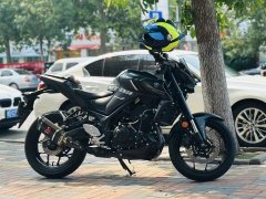 Yamaha MT-03 320 cc - ფოტო 1