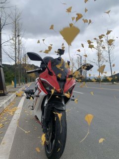 QJMOTOR SRK 250 - ფოტო 3