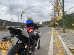 QJMOTOR SRK 250 - ფოტო 4