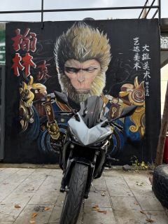 Kayo 321RR 320 cc - ფოტო 2