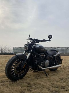 Benda Polestones 03 Gray 300 cc - ფოტო 5