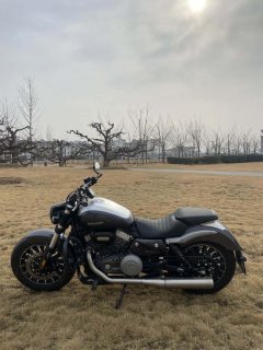 Benda Polestones 03 Gray 300 cc - ფოტო 6