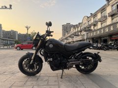 Benelli Lion Cub Leoncino 500 - ფოტო 6