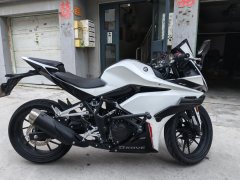 Kayo 250RR Thornbird - ფოტო 1